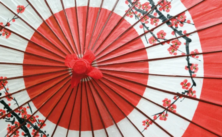 Japanese parasol